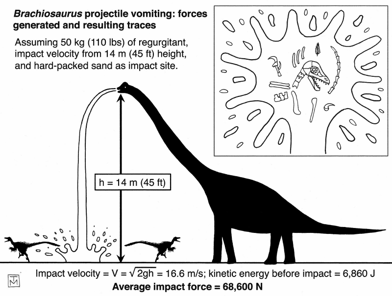 Illustration for article titled From Footprints to the Feet that Made Them